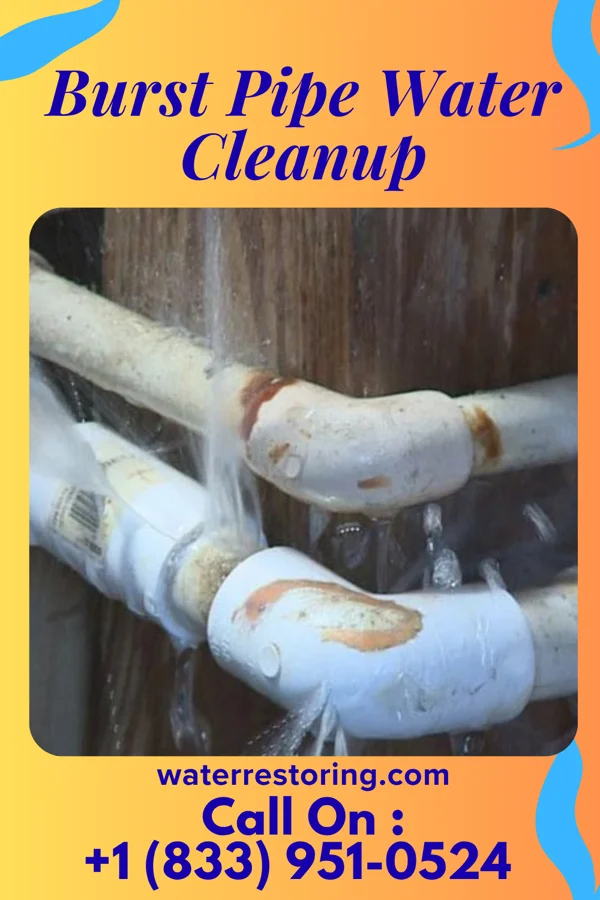 Burst Pipe Water Cleanup in Monterey, TN