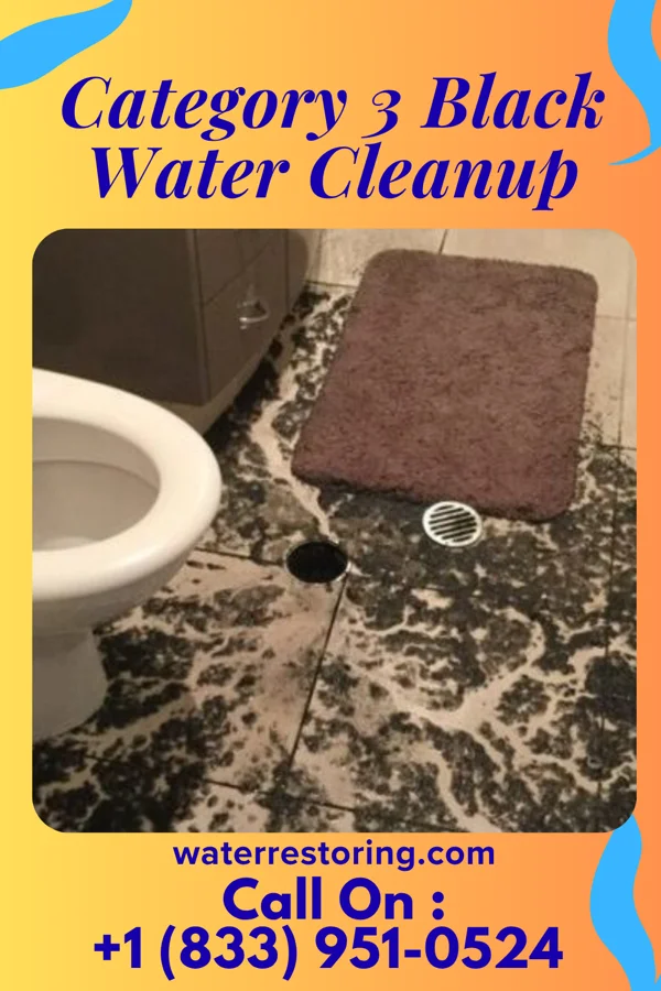 Category 3 Black Water Cleanup in Monterey, TN