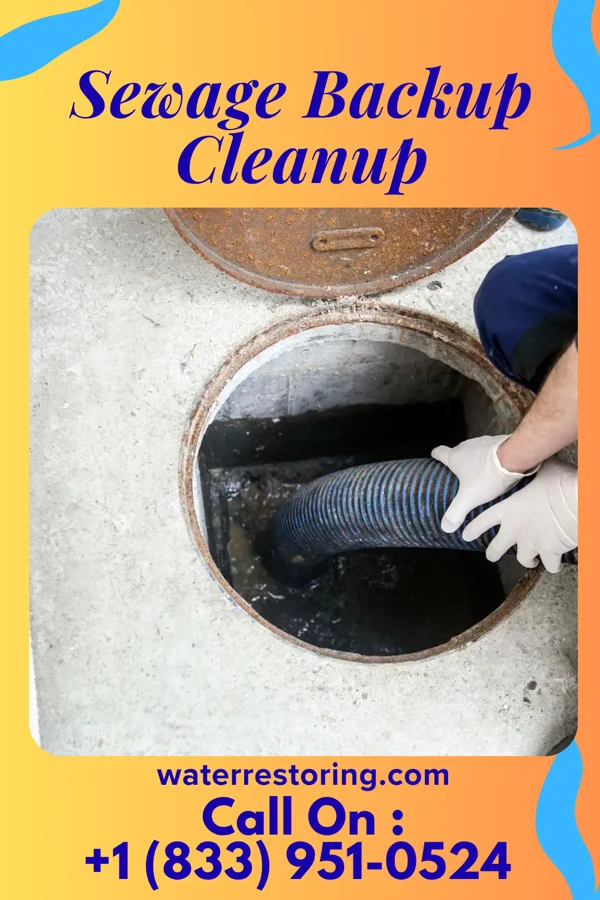Sewage Backup Cleanup in Monterey, TN