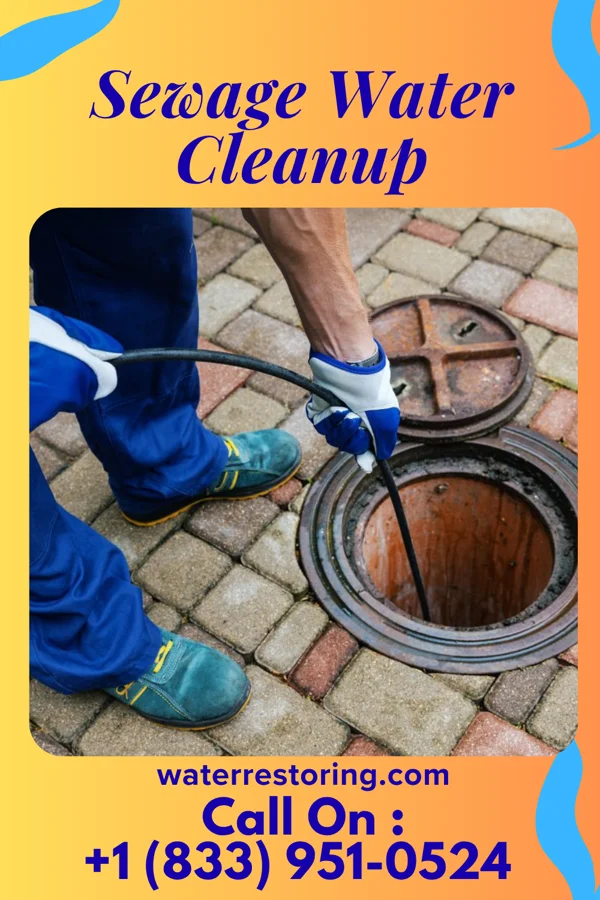 Sewage Water Cleanup in Monterey, TN