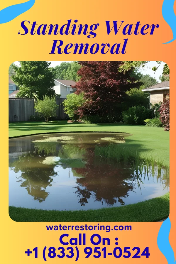 Standing Water Removal in Monterey, TN